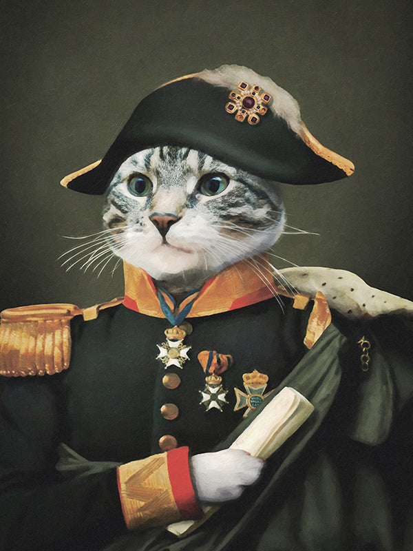 Napoleon - benutzerdefinierte Decke