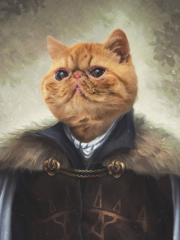 Noords - Custom Kussen