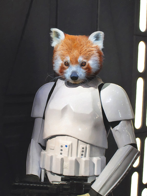 Trooper - Custom Deken