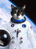 L'astronaute - Affiche personnalisée