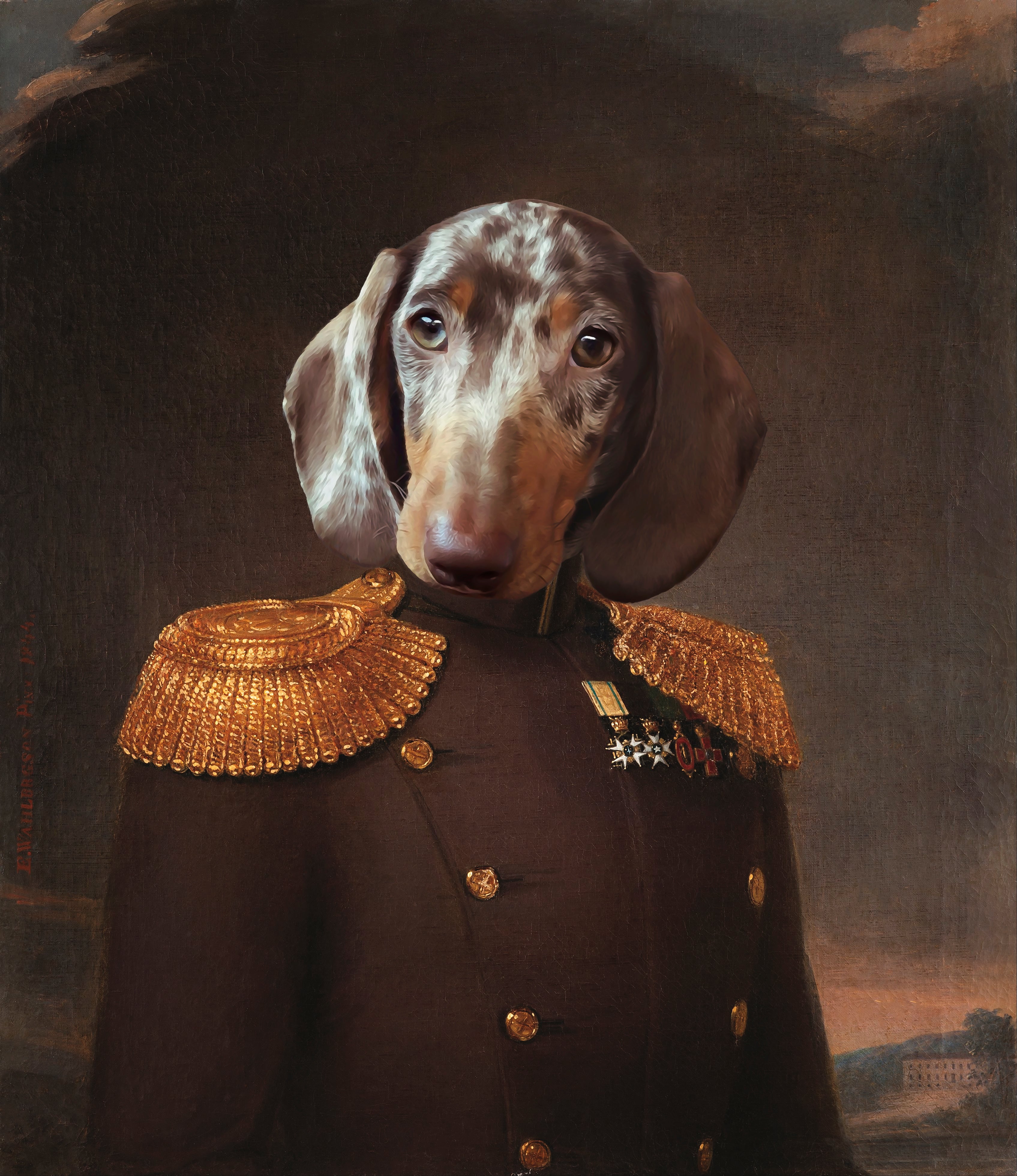 König Napoleon