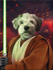 Jedi - Affiche personnalisée